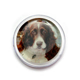 Magic-Rosin-Dog-Days